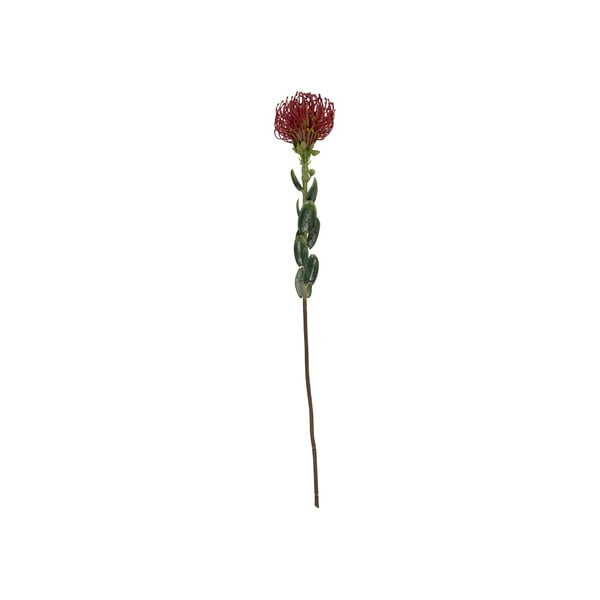 Mākslīgais augs (augstums 73 cm) Protea – PT LIVING