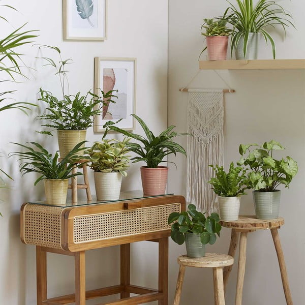 Keramikas puķu pods ø 19 cm Canberra Effekt – Big pots-image-1