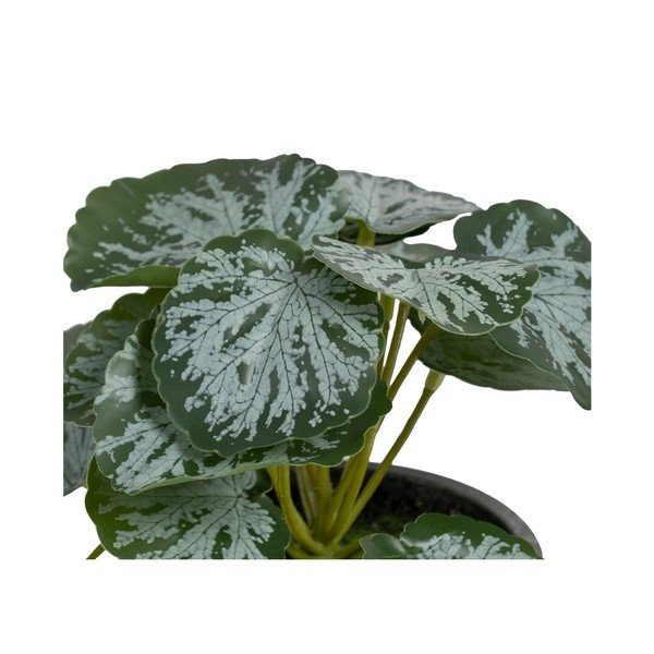 Mākslīgais augs (augstums 21,5 cm) Saxifraga – Ixia-image-1