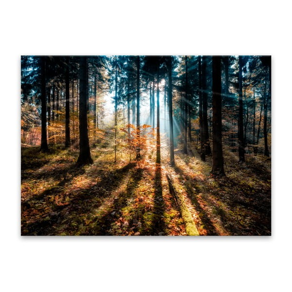 Attēls Styler Glasspik Autumn Sunset, 70 x 100 cm