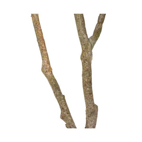 Mākslīgais augs (augstums 116 cm) Oak Tree – Ixia-image-4