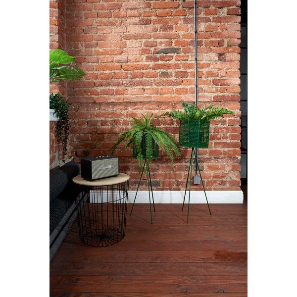 2 tumši zaļu metāla podiņu statīvu komplekts PT LIVING Hexagon-image-1