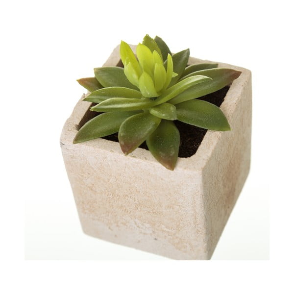 Mākslīgie augi (6 gab.) (augstums 9,5 cm) Cactus – Casa Selección-image-1