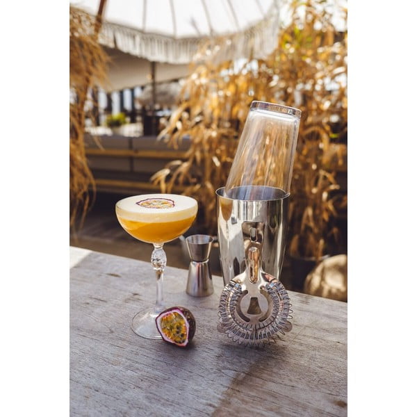 Nerūsējošā tērauda kokteiļu komplekts Boston – Leopold Vienna-image-3