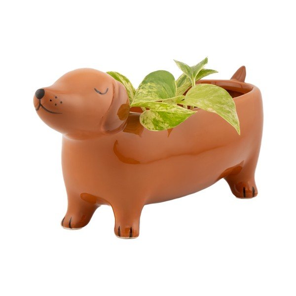Keramikas puķu poda apvalks Sausage Dog – Sass & Belle-image-4