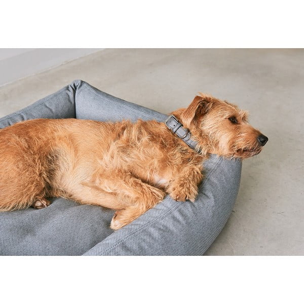 Pelēka mājdzīvnieku gulta suņiem 71x91 cm Mare Rock M – MiaCara-image-2