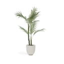 Mākslīgā palma (augstums 70 cm) – Kave Home