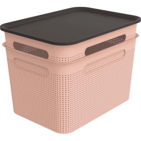 Gaiši rozā plastmasas uzglabāšanas kastes ar vāku (2 gab.) 26,5x36,5x26 cm Brisen – Rotho