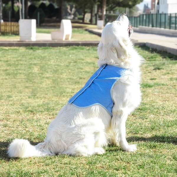 Dzesēšanas veste lieliem mājdzīvniekiem InnovaGoods, izmērs. L-image-3