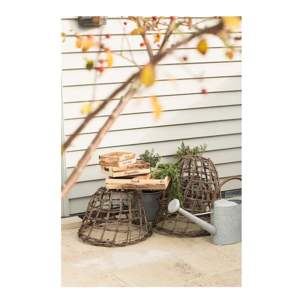 Sāls un piparu trauks no akācijas koka T&G Woodware Glorious-image-2