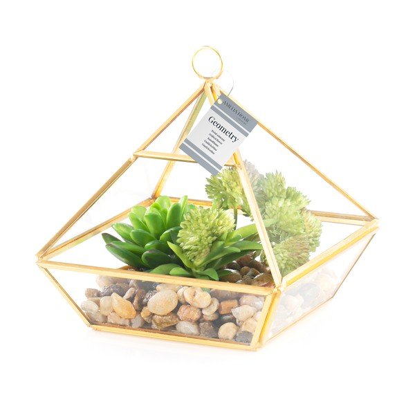 Mākslīgais sukulents (augstums 15,5 cm) Geometry – AmeliaHome