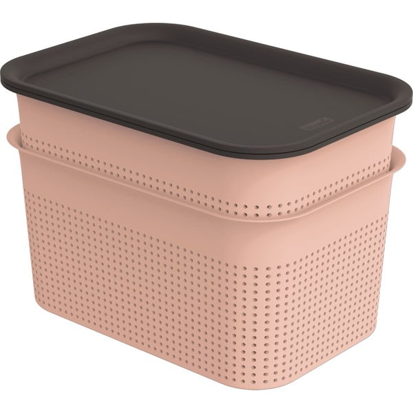 Gaiši rozā plastmasas uzglabāšanas kastes ar vāku (2 gab.) 18,5x26,5x18 cm Brisen – Rotho