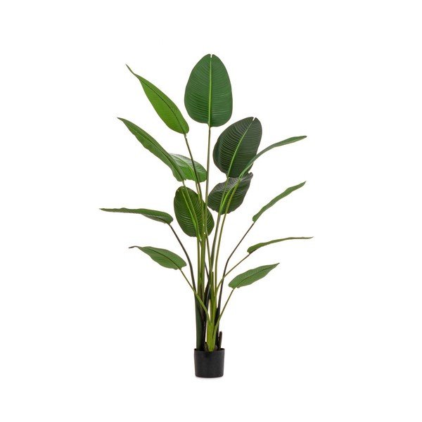 Mākslīgais augs (augstums 185 cm) Sterilizia – Bizzotto