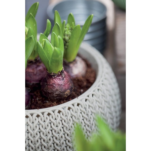 Plastmasas piekarināms un pie sienas liekams puķu pods ø 28 cm Cozy – Keter-image-4