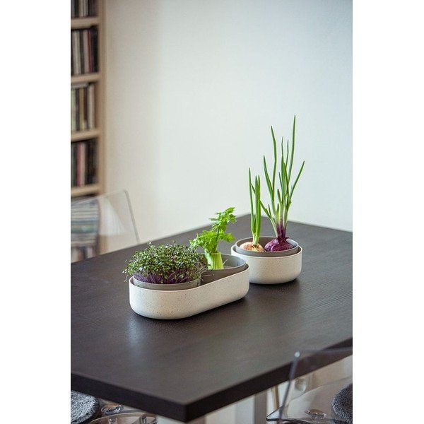 Plastmasas diedzēšanas trauks ø 16 cm Microgreens – Plastia-image-2