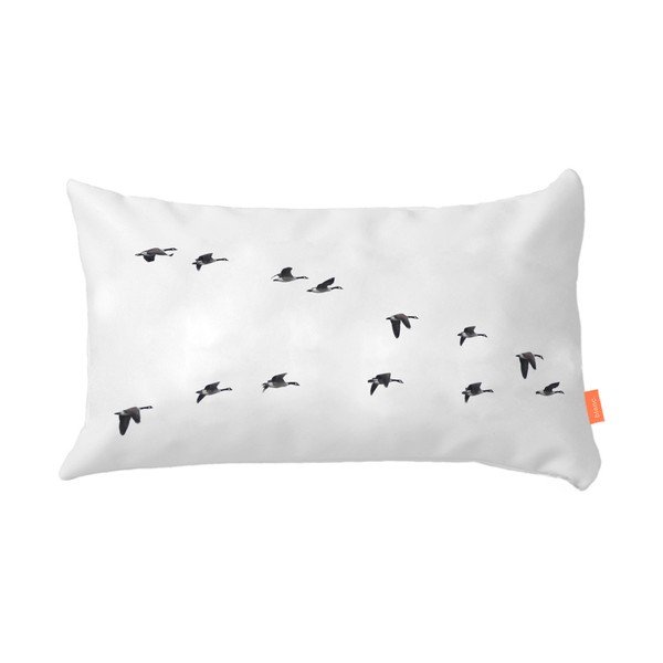 2 kokvilnas spilvendrānu komplekts Blanc Trip-image-4