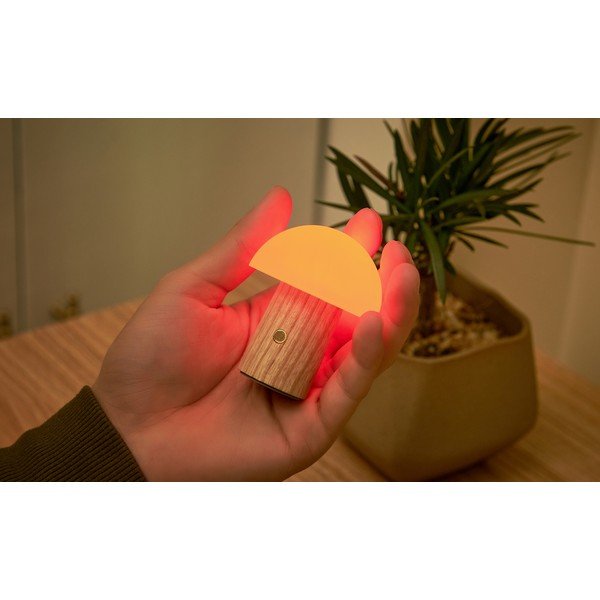 Dabīga toņa oša masīvkoka LED galda lampa ar regulējamu spilgtumu (augstums 7 cm) Alice – Gingko-image-4