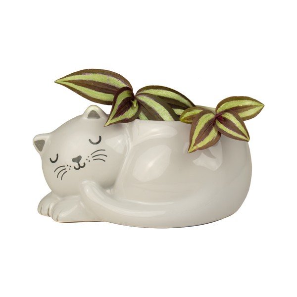 Keramikas puķu poda apvalks Sleeping Cat – Sass & Belle-image-1