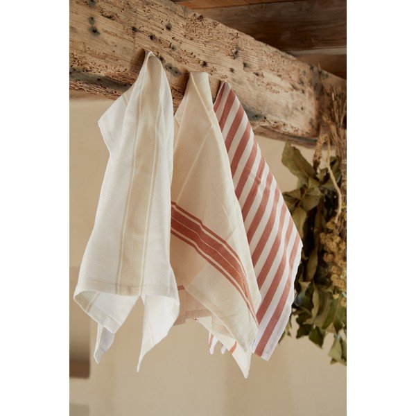 Kokvilnas trauku dvieļi (2 gab.) 50x70 cm Stripes – Casafina-image-1