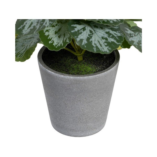 Mākslīgais augs (augstums 21,5 cm) Saxifraga – Ixia-image-2