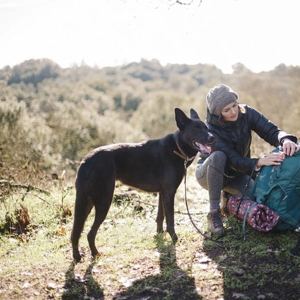 Brūna ceļojumu gulta suņiem 50x75 cm Outdoor Chill Pad Mocha M – P.L.A.Y.-image-2