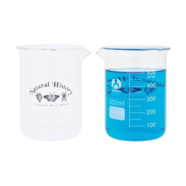 Stikla vāze (augstums 12 cm) Natural History – Esschert Design-image-4