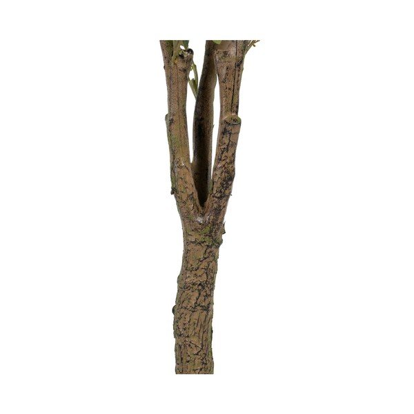 Mākslīgais eikalipts (augstums 173 cm) Eucalyptus – Ixia-image-3