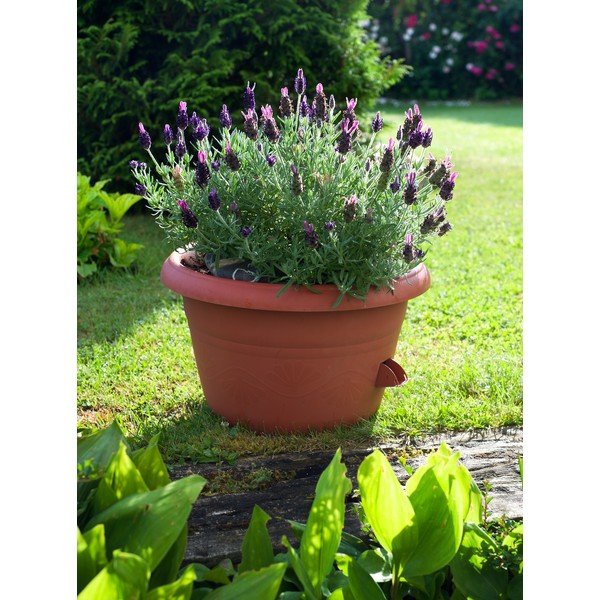 Brūns pašapūdeņojošs puķu pods Plastia Siesta, ø 25 cm-image-1