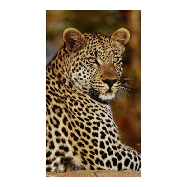 Pludmales dvielis ar "Good Morning Leopard" apdruku, 100 x 180 cm