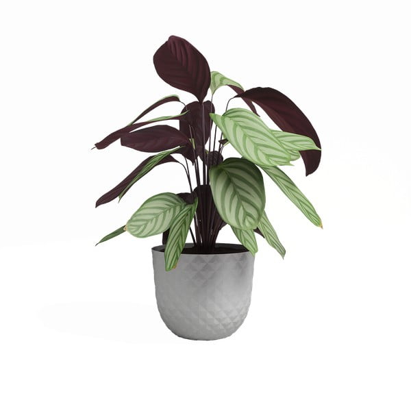 Puķu pods no pārstrādātas plastmasas ø 20 cm Havana – Artevasi-image-2