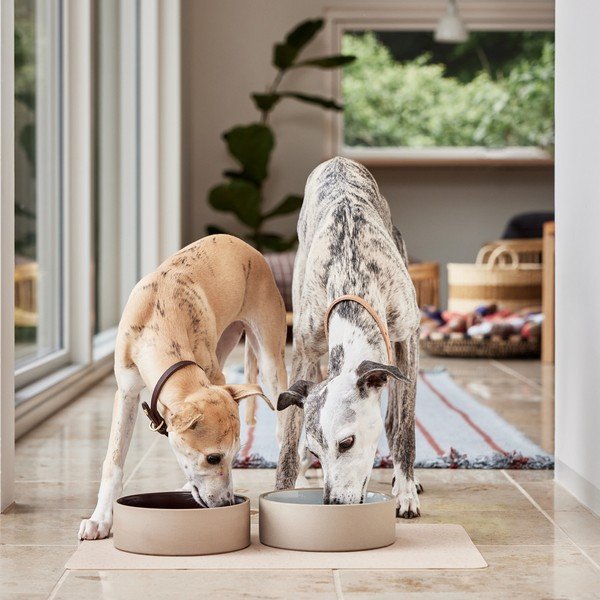 Keramikas mājdzīvnieku bļodiņa suņiem ø 17 cm Sia – OYOY Living Design-image-3