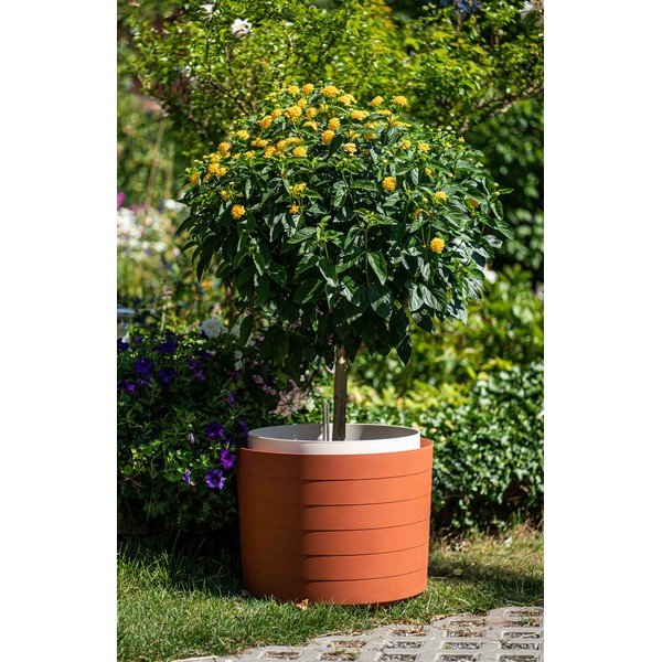Brūni sarkans pašapūdeņojošs puķu pods Plastia Berberis, ø 55 cm-image-1