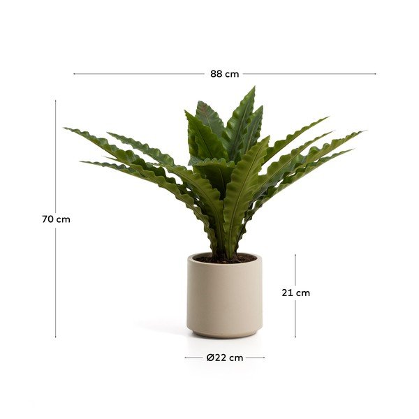 Mākslīgais sukulents (augstums 70 cm) Neottopteris – Kave Home-image-4