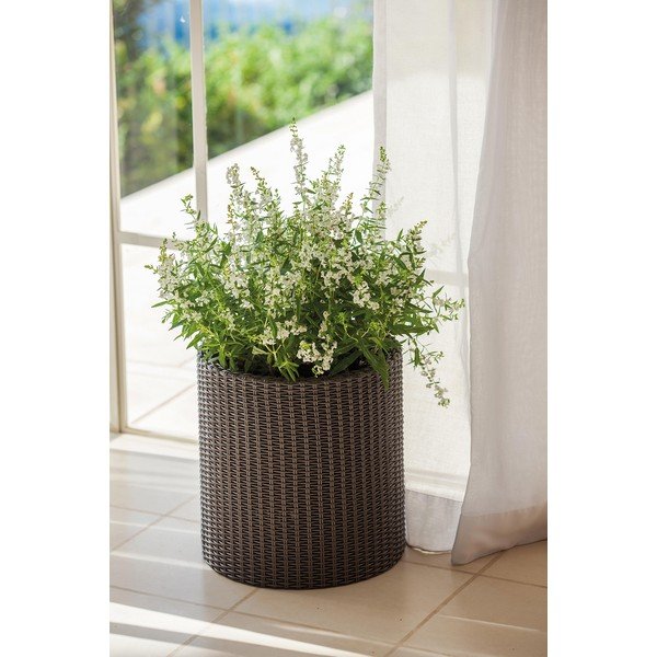 Plastmasas puķu pods ø 28 cm Cylinder – Keter-image-1
