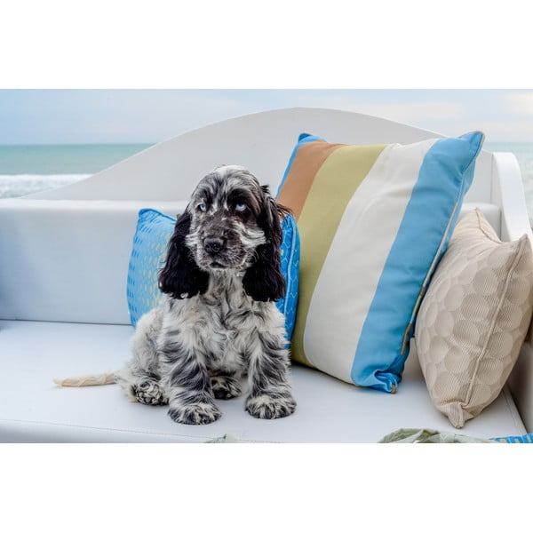 Dekoratīvais spilvens 50x50 cm Vivero – Madison-image-1