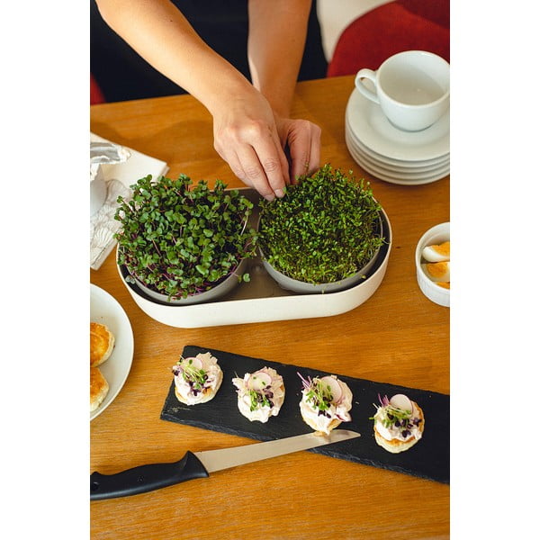 Diedzēšanas trauku komplekts Velká farma Microgreens & Regrow – Plastia-image-3