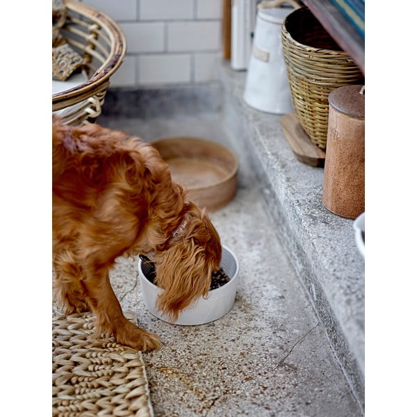 Māla bļodiņa suņiem ø 17,5 cm Buddy – Bloomingville-image-1