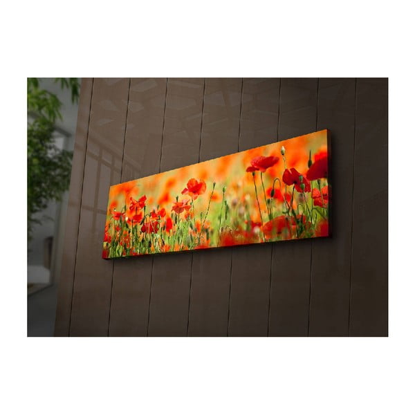 Izgaismota glezna Seans, 90 x 30 cm-image-1