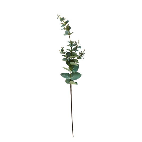 Mākslīgais eikalipts (augstums 71 cm) Kvist – Villa Collection