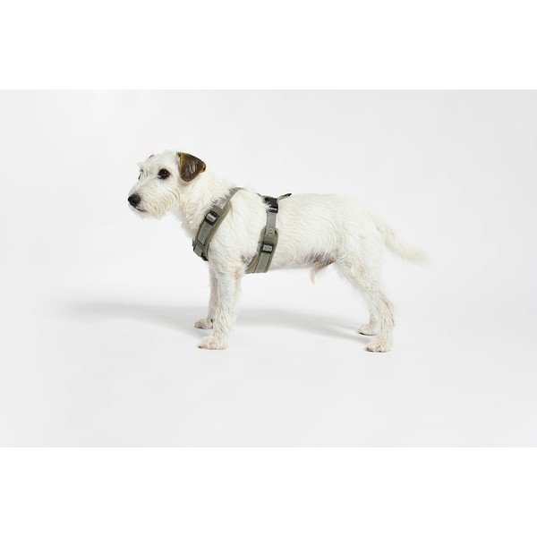 Zaļa plecu siksna S garums 30 cm Modena Grolive S – MiaCara-image-1