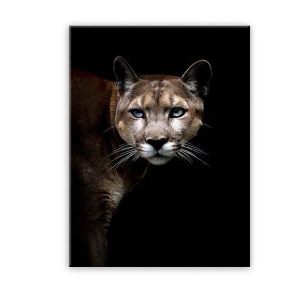 Image Styler Glas Animals Puma, 70 x 100 cm