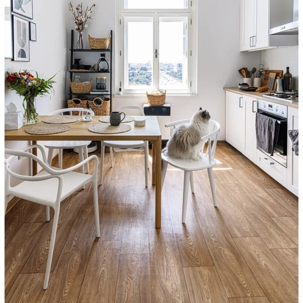 2 baltu pusdienu krēslu komplekts Bonami Selection Dali Chaur-image-1