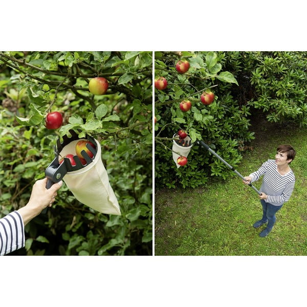 Izvelkams augļu novācējs – Maximex-image-1