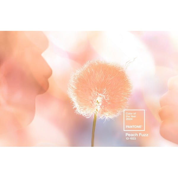 Oranža keramikas krūze 175 ml Cortado Peach Fuzz 13-1023 – Pantone-image-2