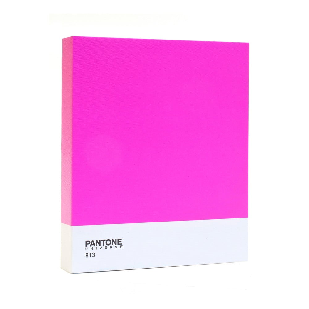 Attēls Pantone 813 Classic Bright Pink