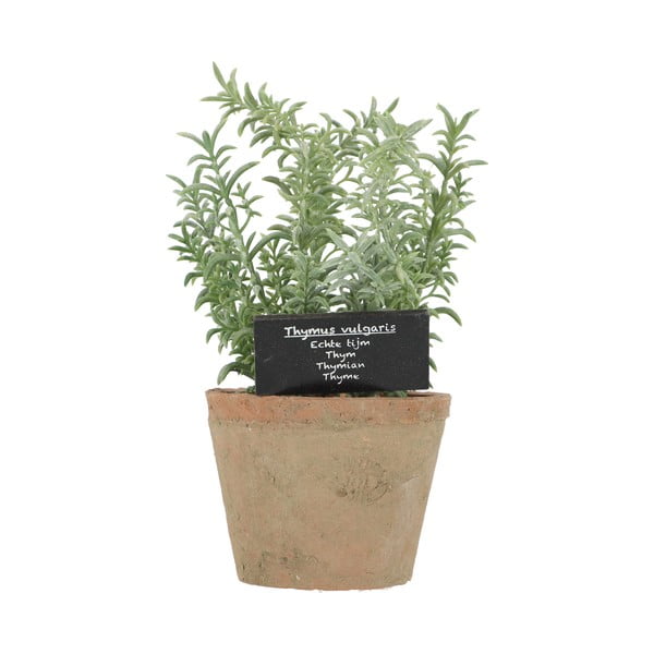 Mākslīgais augs (augstums 21,5 cm) Thyme – Esschert Design-image-4
