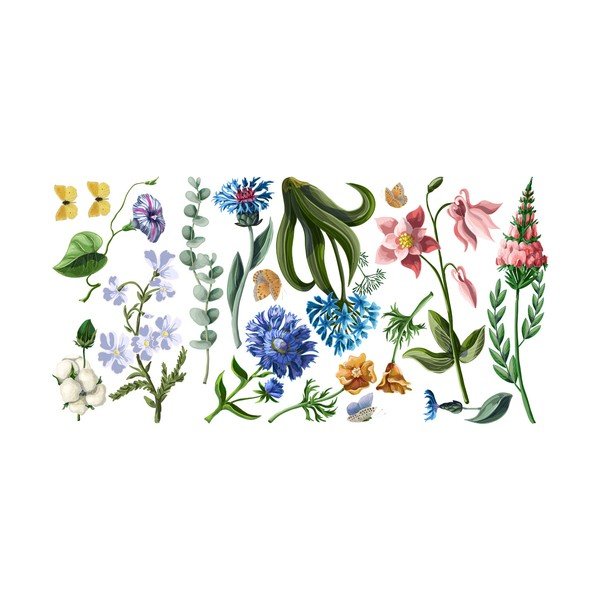 Sienas uzlīmju komplekts Ambiance Wildflowers-image-1