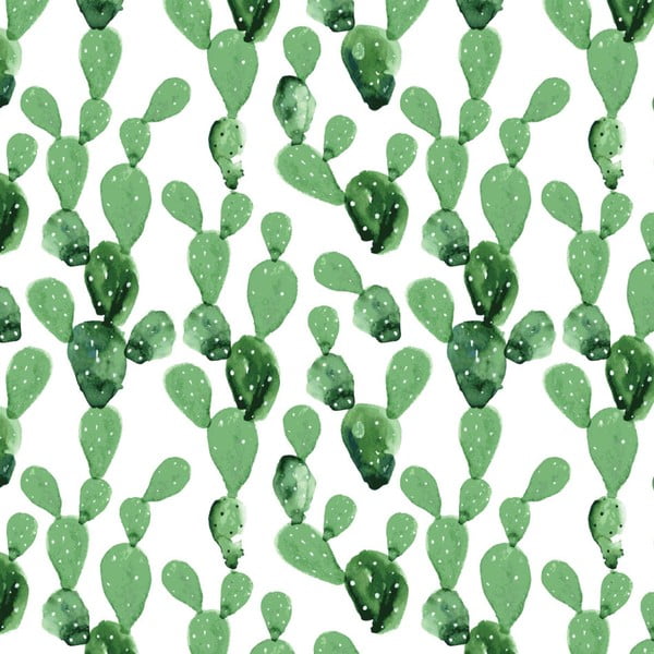 Tapetes Dekornik Cactus, 50 x 280 cm