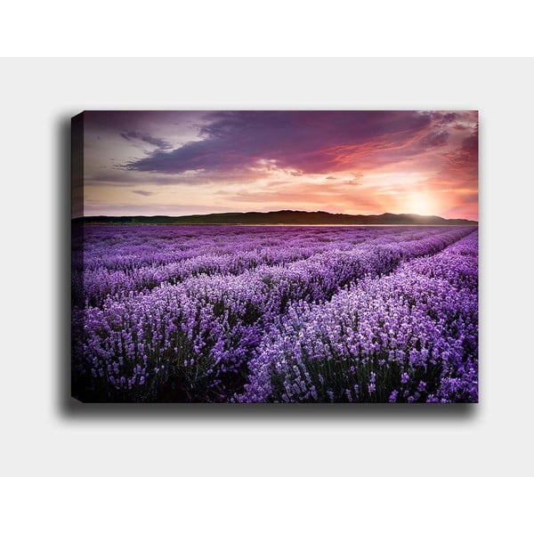 Glezna 100x70 cm Lavender Field – Wallity-image-2