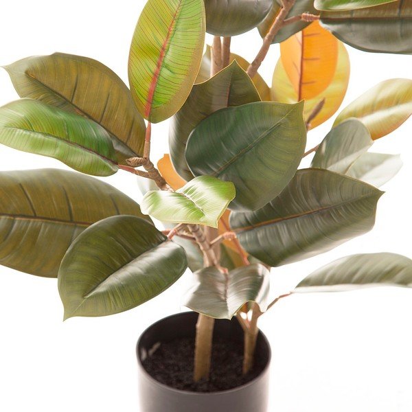 Mākslīgais fikuss (augstums 90 cm) Ficus – Ixia-image-2